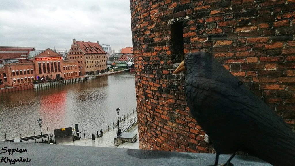 Hilton Gdańsk - widok z okna