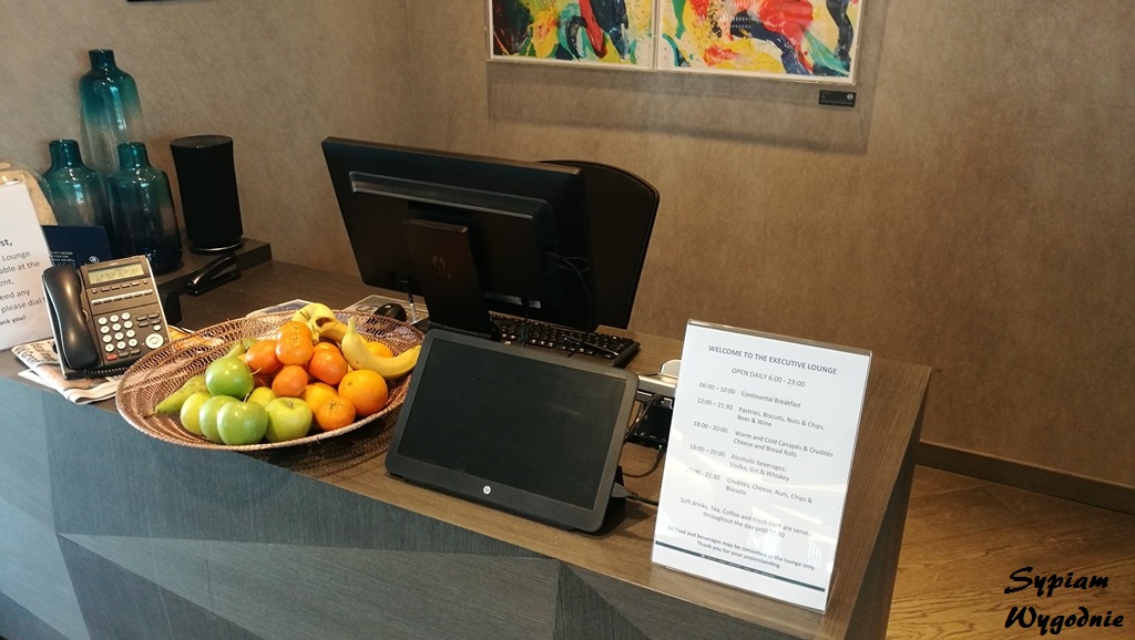 Hilton Amsterdam Airport Schiphol – executive lounge